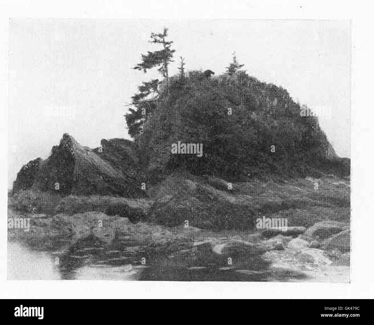 47416 una delle piccole isole del litorale il rock è la roccia argillosa del porto Renfrew serie Foto Stock