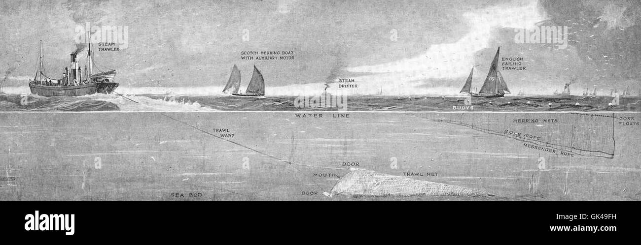 Questa immagine mostra le tecniche utilizzate per la cattura del pesce mediante la pesca a strascico e la pesca con reti da posta derivanti, due metodi comuni nella pesca commerciale. Questi metodi mirano a diverse specie ittiche utilizzando reti che vengono trascinate o deviate attraverso l'acqua. Foto Stock