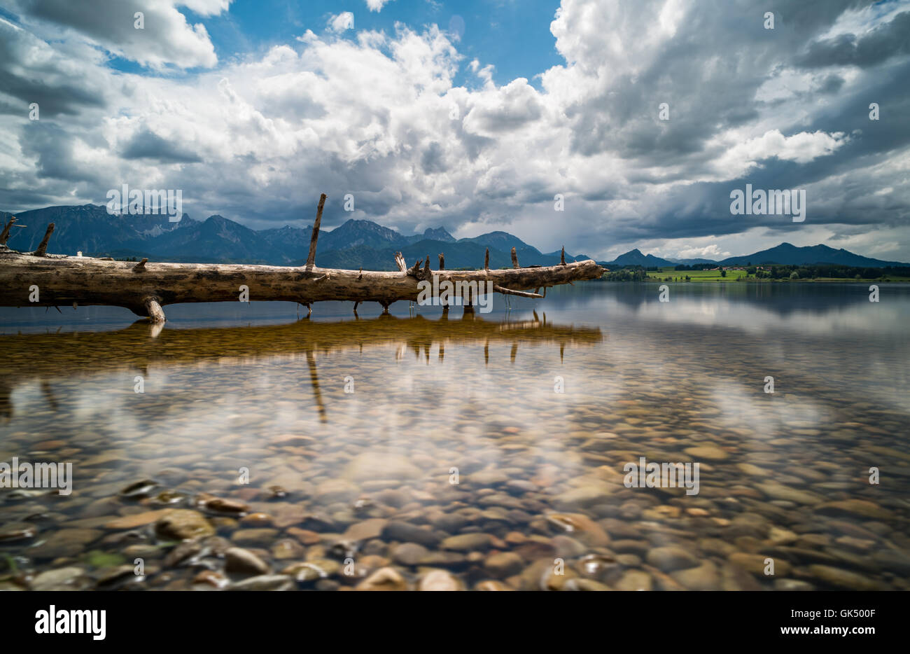 Albero morto nel lago e monti all'orizzonte Foto Stock