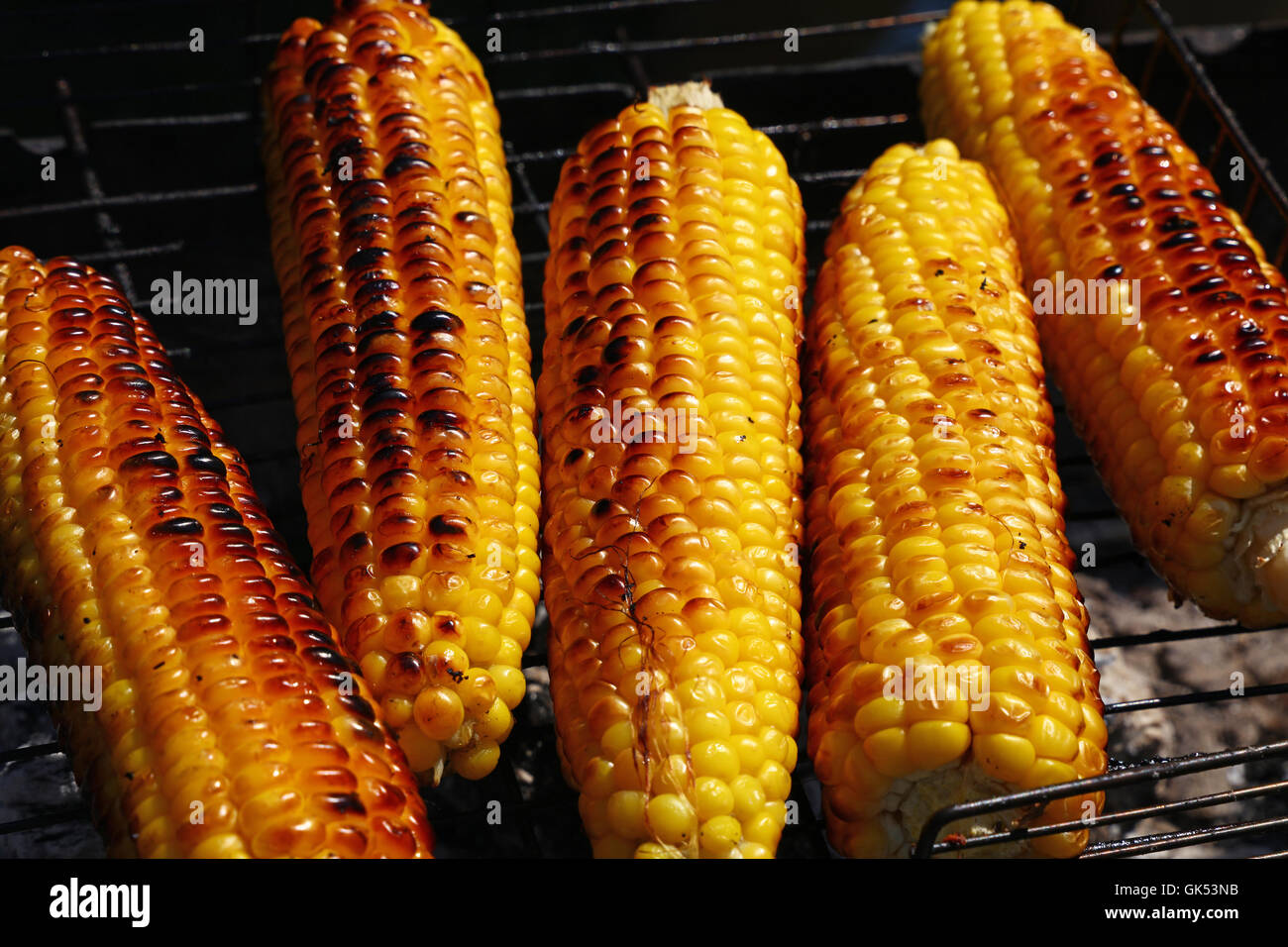 La cucina di più fresca marrone giallo dorato tutoli di mais su open air barbecue grill, close up Foto Stock