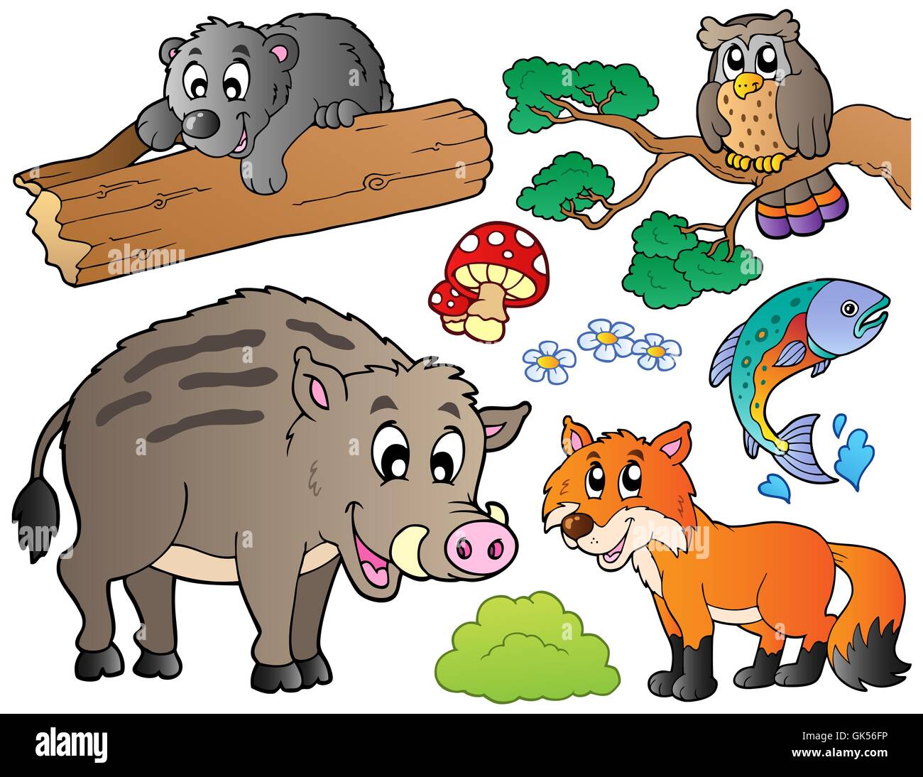 Orso animale della fauna Foto Stock