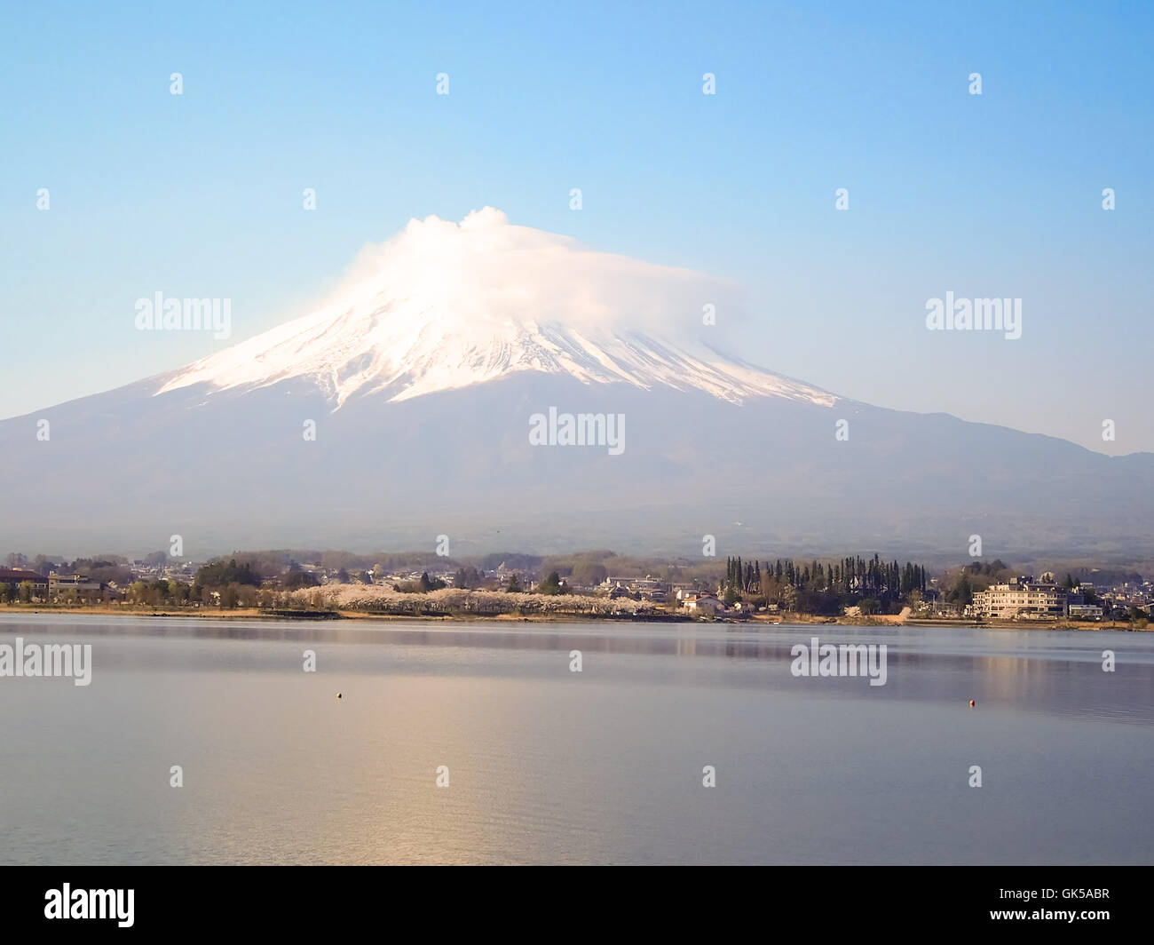 Il monte Fuji e fiori di ciliegio al lago Kawaguchiko Foto Stock