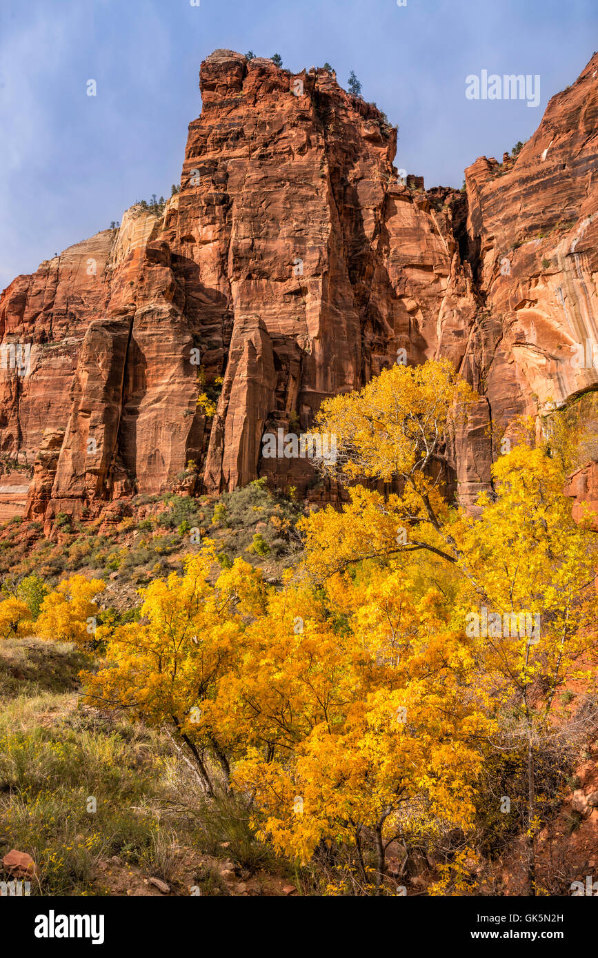 Piangendo Rock, vista da Hidden Canyon Trail verso la fine di ottobre, il Parco Nazionale di Zion, Utah, Stati Uniti d'America Foto Stock
