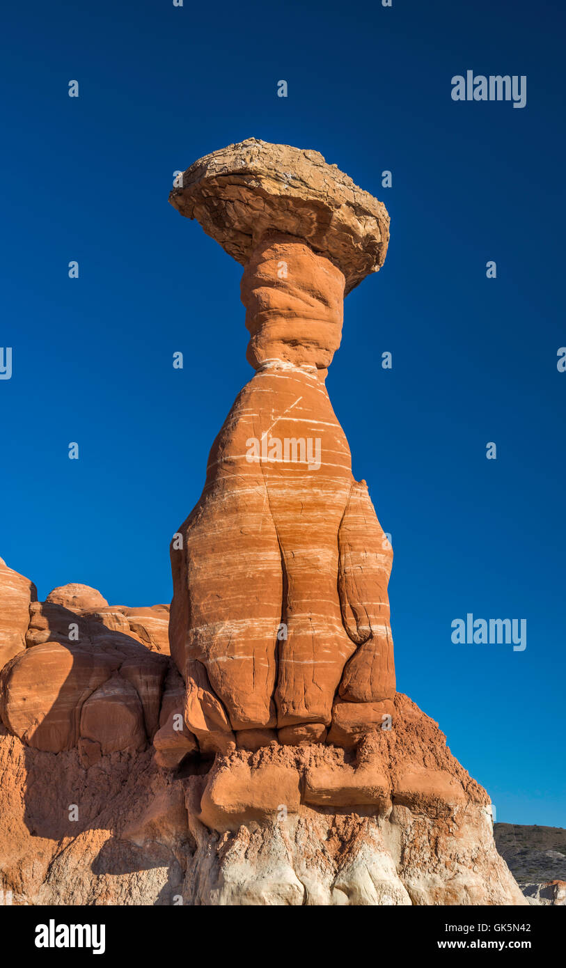 Toadstool Hoodoo, formation masso Dakota in cima al piedistallo in arenaria Entrada, Rimrock Hoodoos area, The Cockscomb Wilderness Study Area, Utah, USA Foto Stock