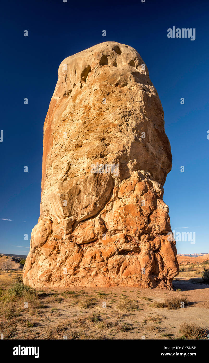Chimney Rock, Kodachrome Basin State Park, Utah, Stati Uniti d'America Foto Stock