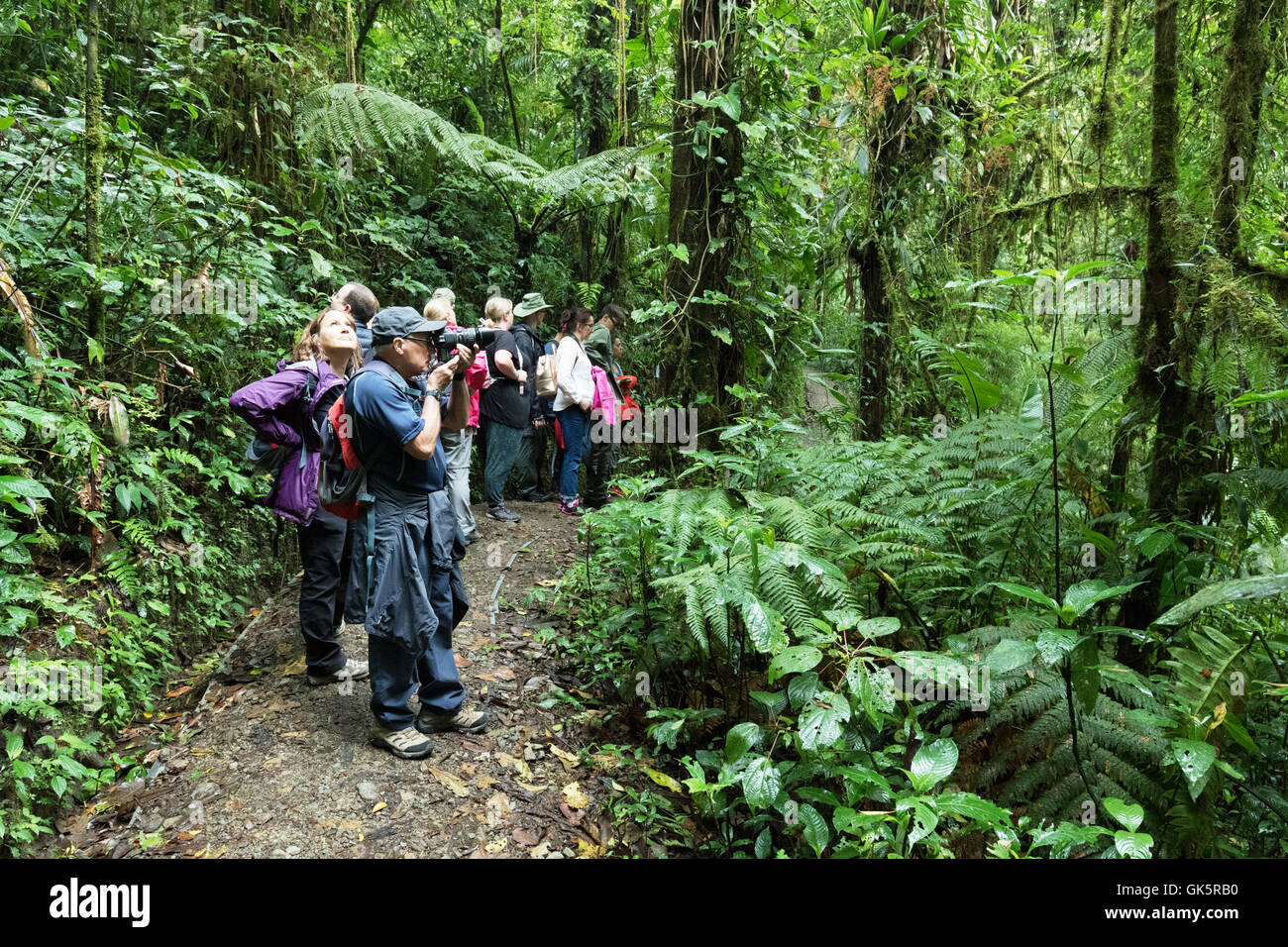 I turisti del Costa Rica; Un gruppo di giro nella foresta nuvolosa di Monteverde, l'America centrale del Costa Rica Foto Stock