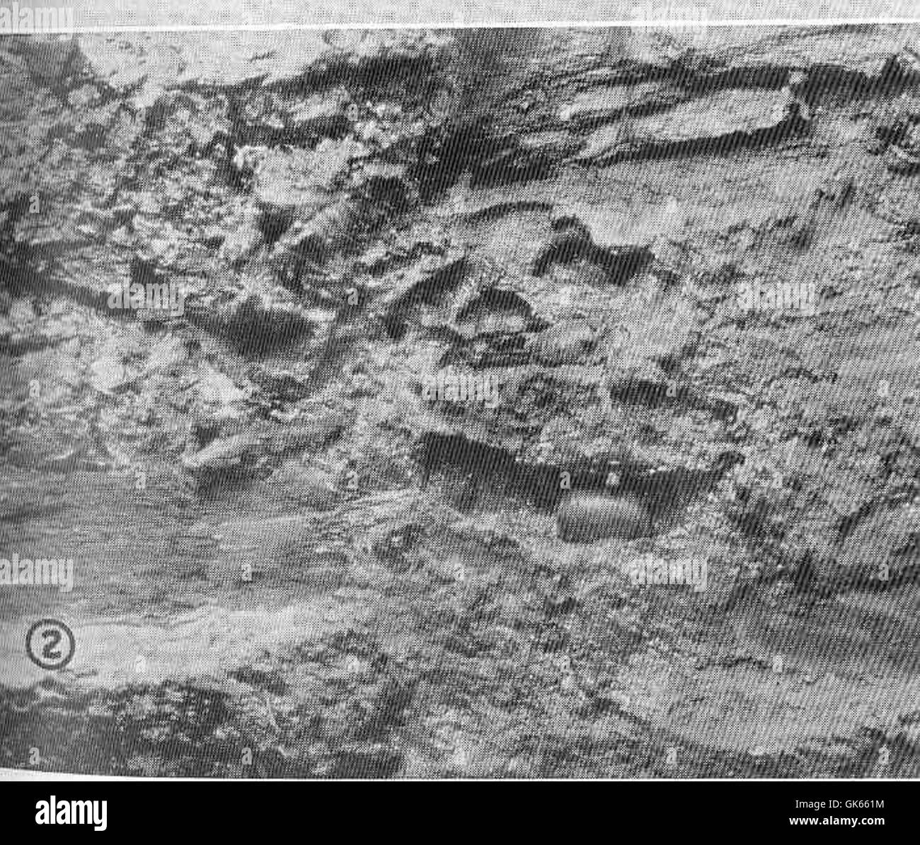 Sphacroma pentodon, un tipo di alghe marine, si osserva lavorare sulla superficie di un mucchio non trattato ricoperto di petrolio greggio presso il molo della Monticello SS Company. Questo fenomeno mette in evidenza l'impatto dell'inquinamento sulla vita marina e l'adattabilità di alcuni organismi agli ambienti difficili. Foto Stock