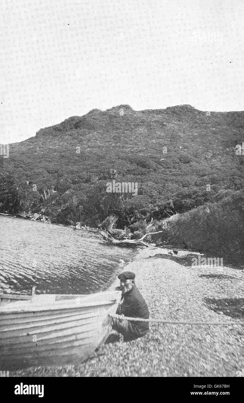 La Foresta rata delle Isole Auckland è caratterizzata da una fitta vegetazione con un tetto piatto e ramoscelli di ultima generazione. Questo ecosistema forestale unico è sede di specie vegetali autoctone, contribuendo alla biodiversità della regione subantartica. Foto Stock