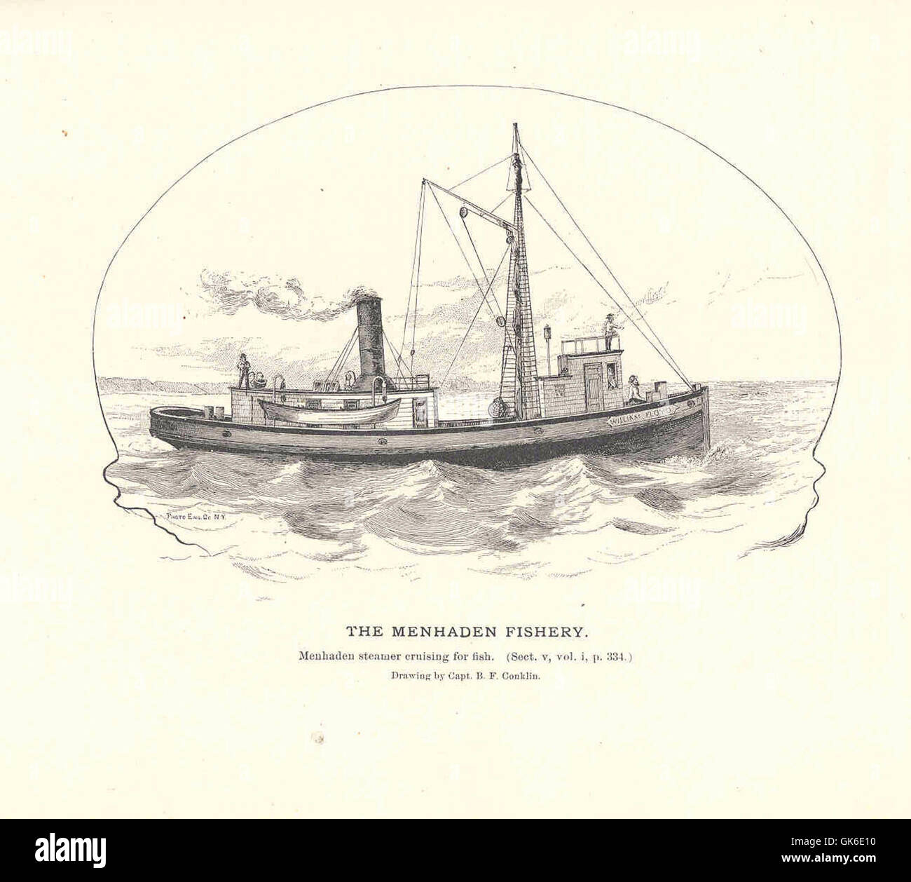 La pesca del menhaden si concentra sulla raccolta del menhaden, un piccolo pesce che si trova lungo le coste dell'Atlantico e del Golfo. Questi pesci sono vitali per la catena alimentare marina e vengono utilizzati in varie industrie, tra cui la produzione di mangimi per animali e di petrolio. Foto Stock