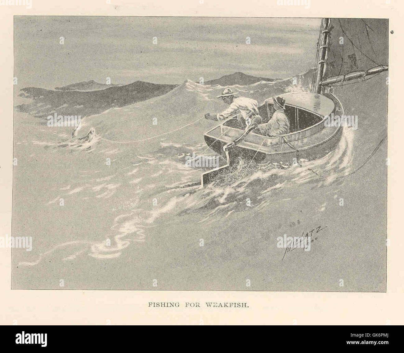 La pesca del pesce debole, noto anche come *Cynoscion regalis*, implica la cattura di questa specie che si trova lungo la costa atlantica del Nord America. Noto per la sua forte capacità di combattimento, il pesce debole è apprezzato nella pesca ricreativa e commerciale. Foto Stock
