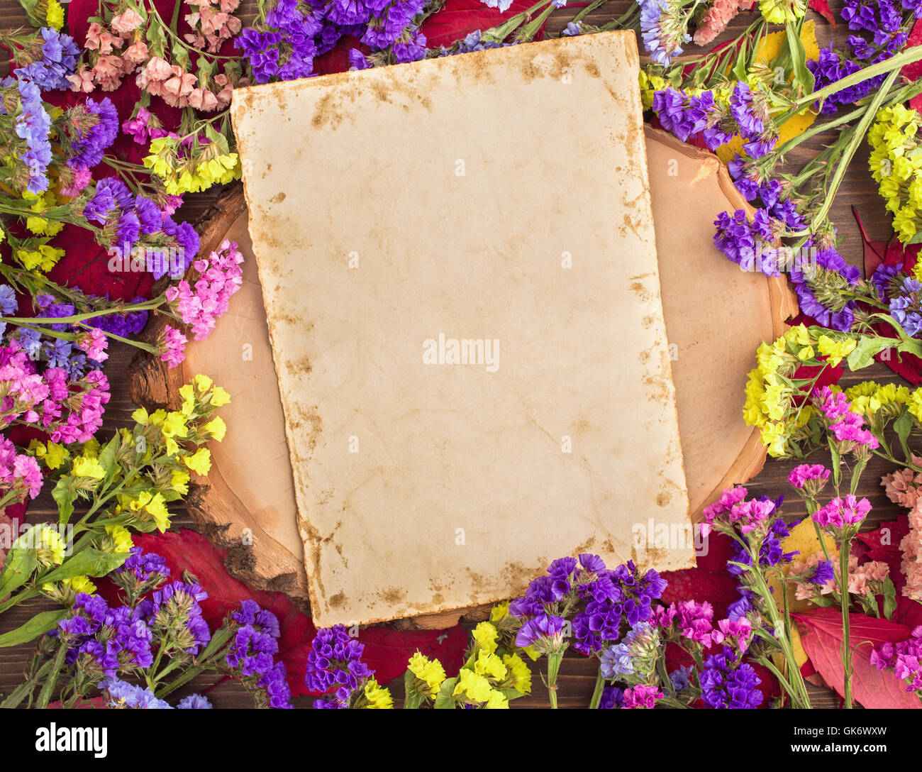 Essiccato variopinti fiori statice intorno alla scheda Foto Stock