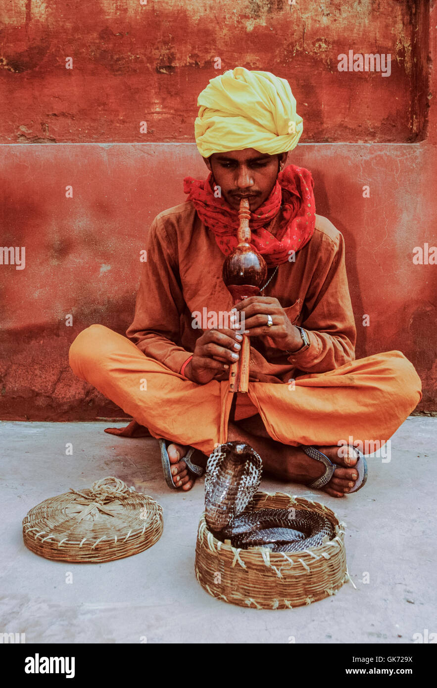 Il serpente incantatore con cobra, (Naja naja), Rajasthan, India Foto Stock