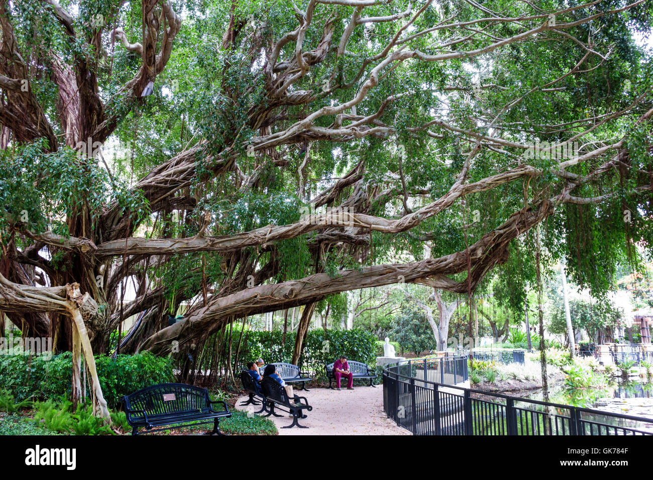 Napoli Florida,Campus Ospedale di Napoli,Giardino della speranza e del coraggio,Giardino commemorativo,santuario,quercia,panca,ombra,adulti,uomo uomo maschio,donna femmina w Foto Stock