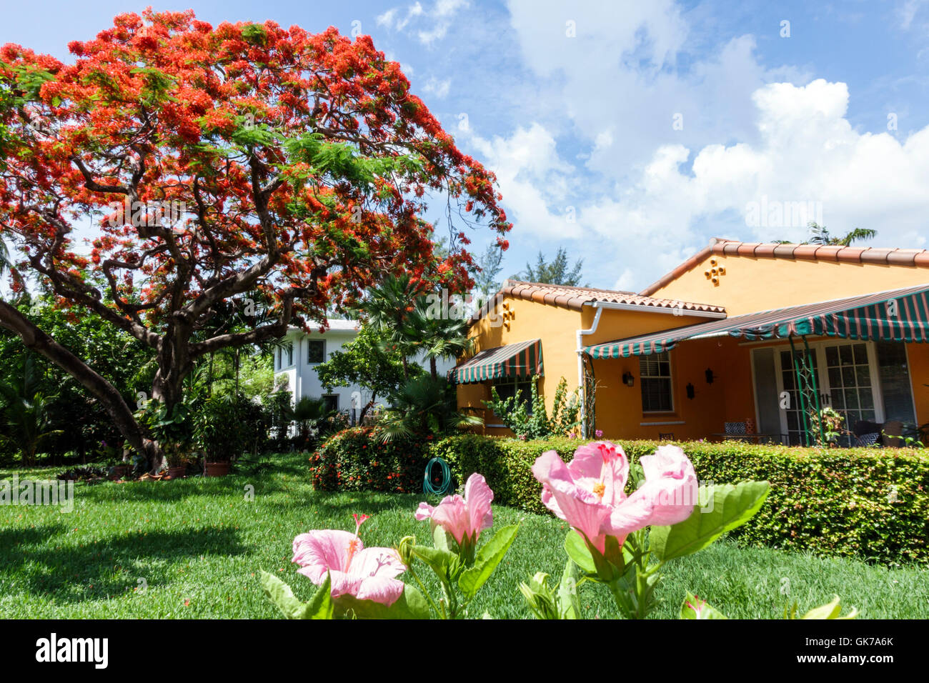 Miami Beach Florida,casa singola,casa casa casa case residenza,esterno,giardino,hibiscus,bush,Royal Poinciana,albero,fiore,fioritura,baldacchino,FL Foto Stock