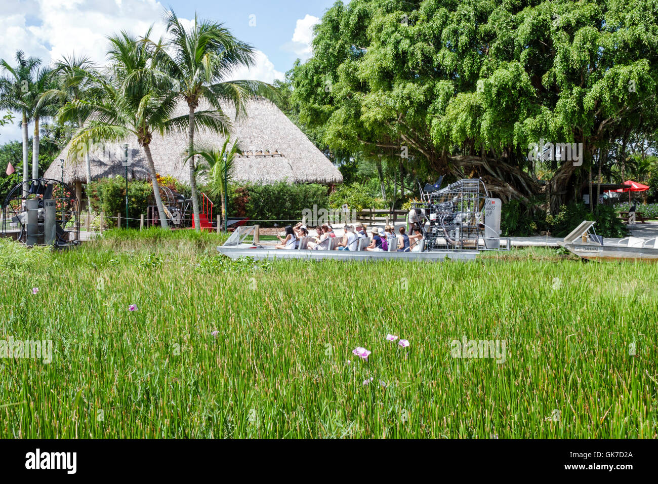 Florida,Sud,Tamiami Trail,Everglades Florida,zone umide tropicali,ambiente,habitat,ecosistema,Gator Park,tour in idroscivolante,partenza in idroscivolante,Black Blacks Foto Stock