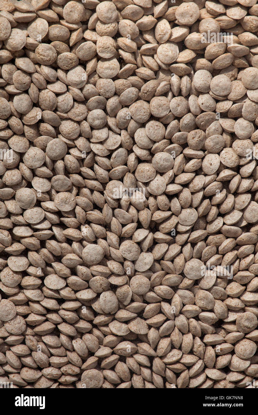 Alimenti per animali pellet. Texture di sfondo. Foto Stock