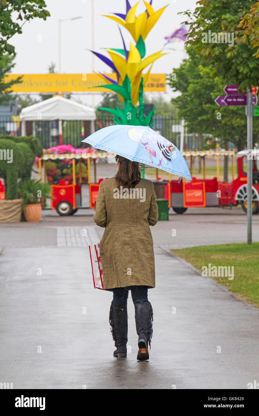 Un, pioggia raindrop gocce di pioggia, pioggia, pioggia, marciapiede, versando giù, ombrelloni, ombrello, urban, verticale, passeggiate, meteo, bagnato di pioggia, Foto Stock