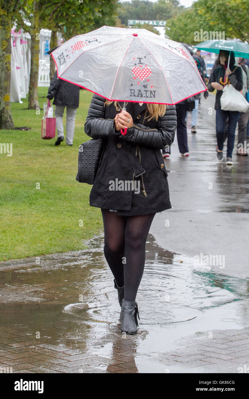 Un, pioggia raindrop gocce di pioggia, pioggia, pioggia, marciapiede, versando giù, ombrelloni, ombrello, urban, verticale, passeggiate, meteo, bagnato di pioggia, Foto Stock