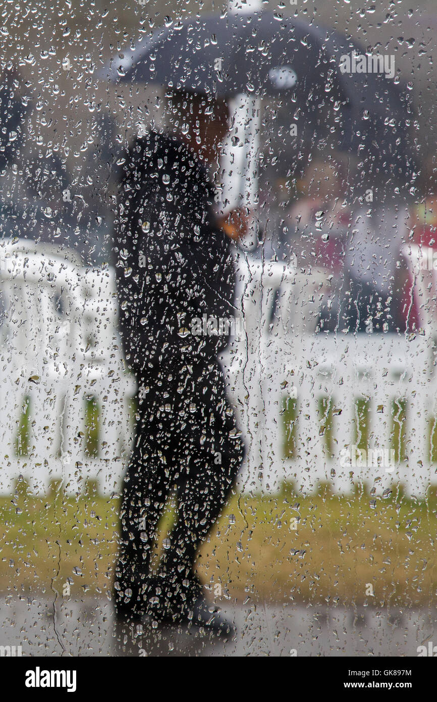 Southport, Merseyside Regno Unito Meteo. 19 agosto 2016 acquazzoni pesanti su Flower Show folle il 2 ° giorno del 48th annuale extravagancy floreali. Nonostante un aumento del vento e condizioni blustery biglietti i titolari hanno continuato a godersi lo spettacolo e divertimento a dispetto di un meteo per stormy venti della forza più tardi nella giornata. Credito: MediaWorldImages/Alamy Live News Foto Stock