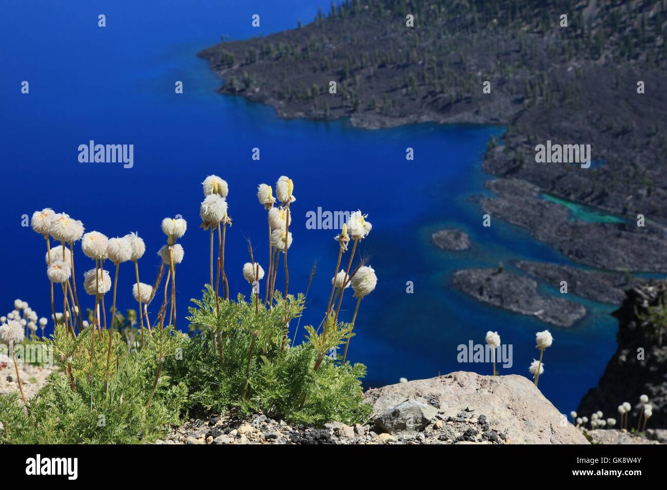 Vista del cratere del lago con fiori in primo piano Foto Stock