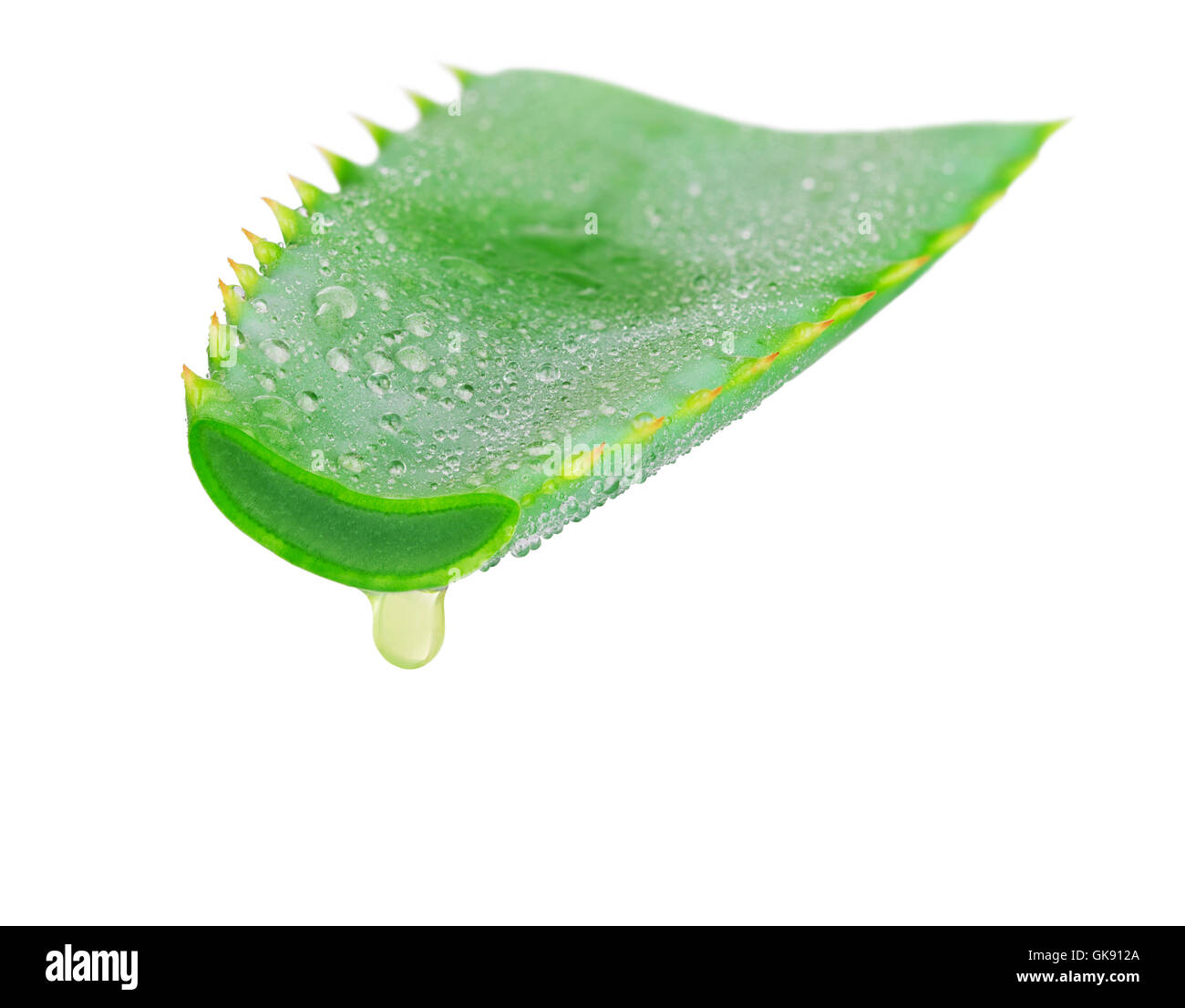 Aloe vera con succo goccia isolati su sfondo bianco Foto Stock