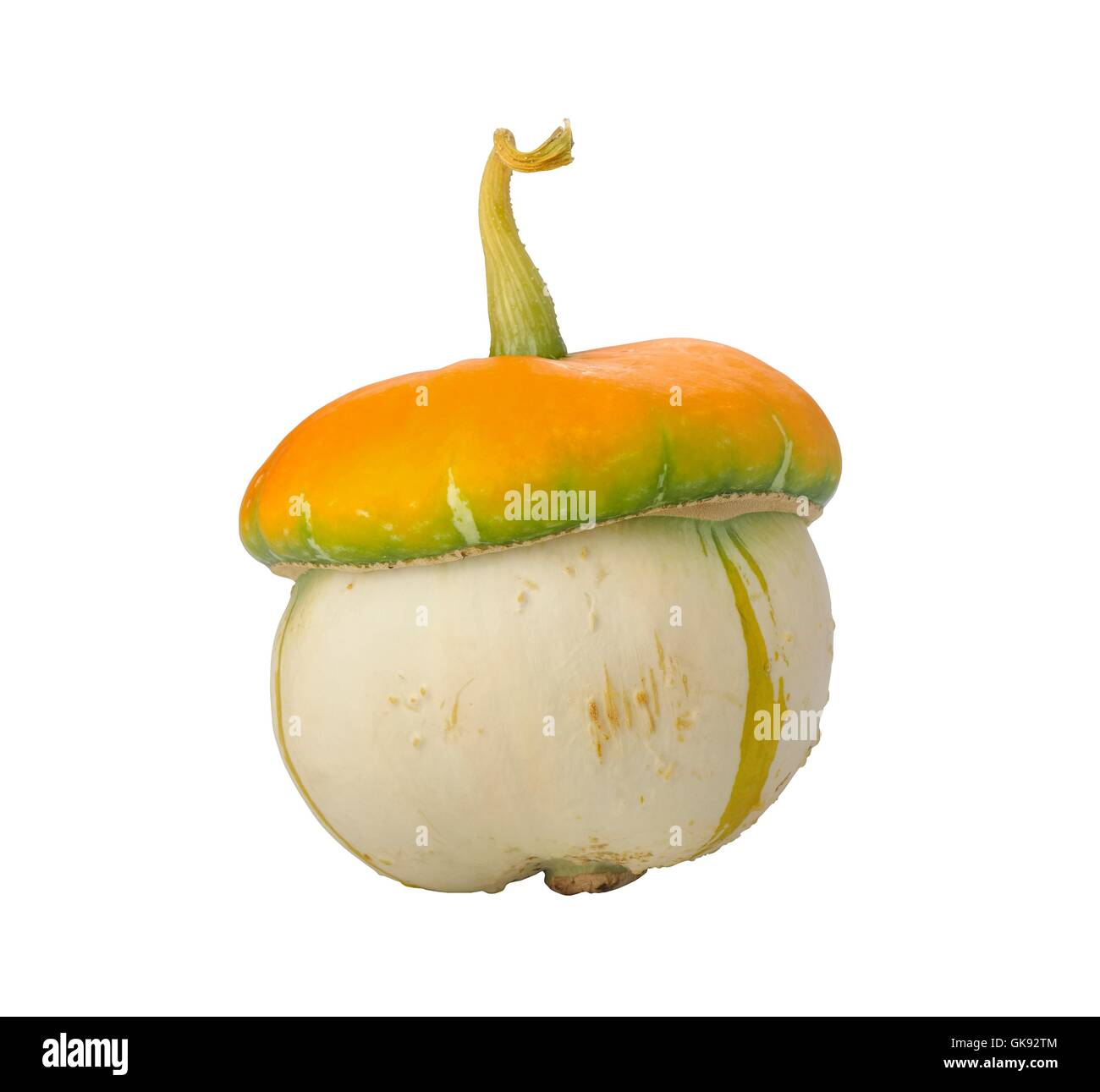 Zucca decorativa in forma di un fungo su sfondo bianco Foto Stock