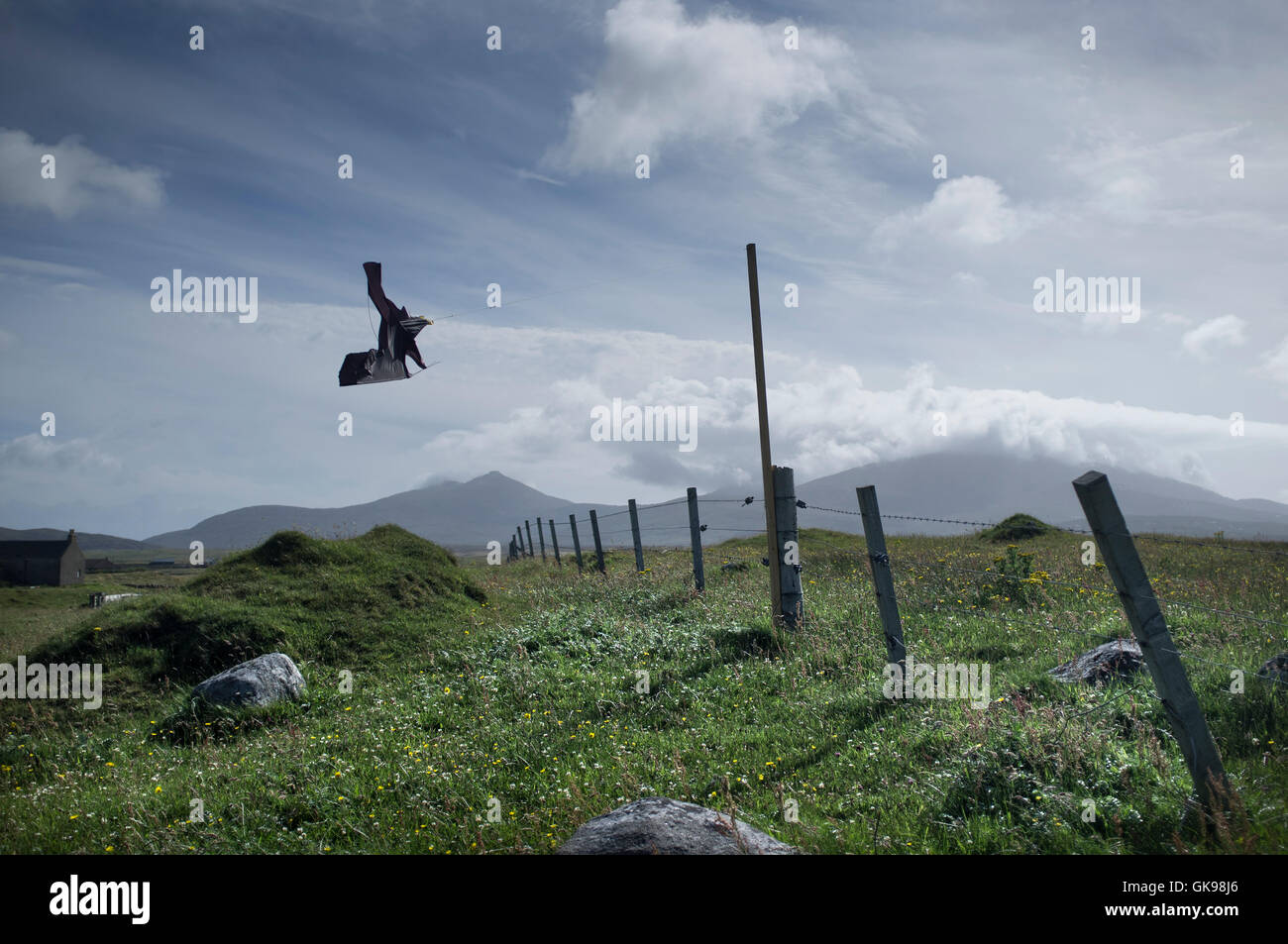 Bird spaventare su un croft nelle Ebridi Esterne Isola di South Uist Foto Stock