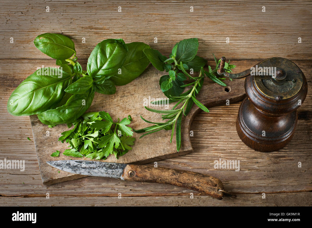 salsa di basilico crudo Foto Stock