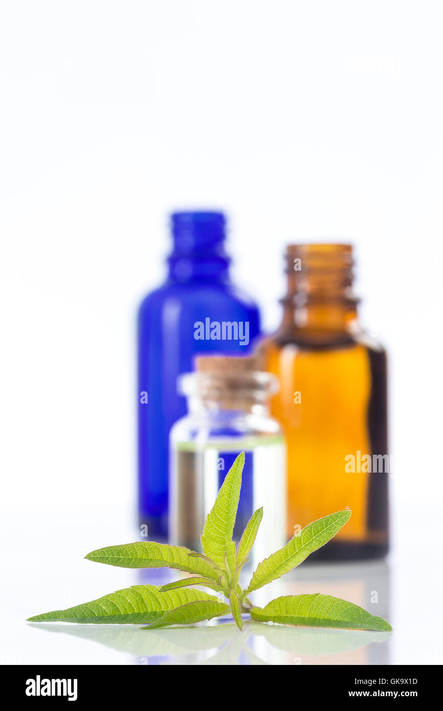 Il limone di vervain verbena olio essenziale naturopatia Foto Stock