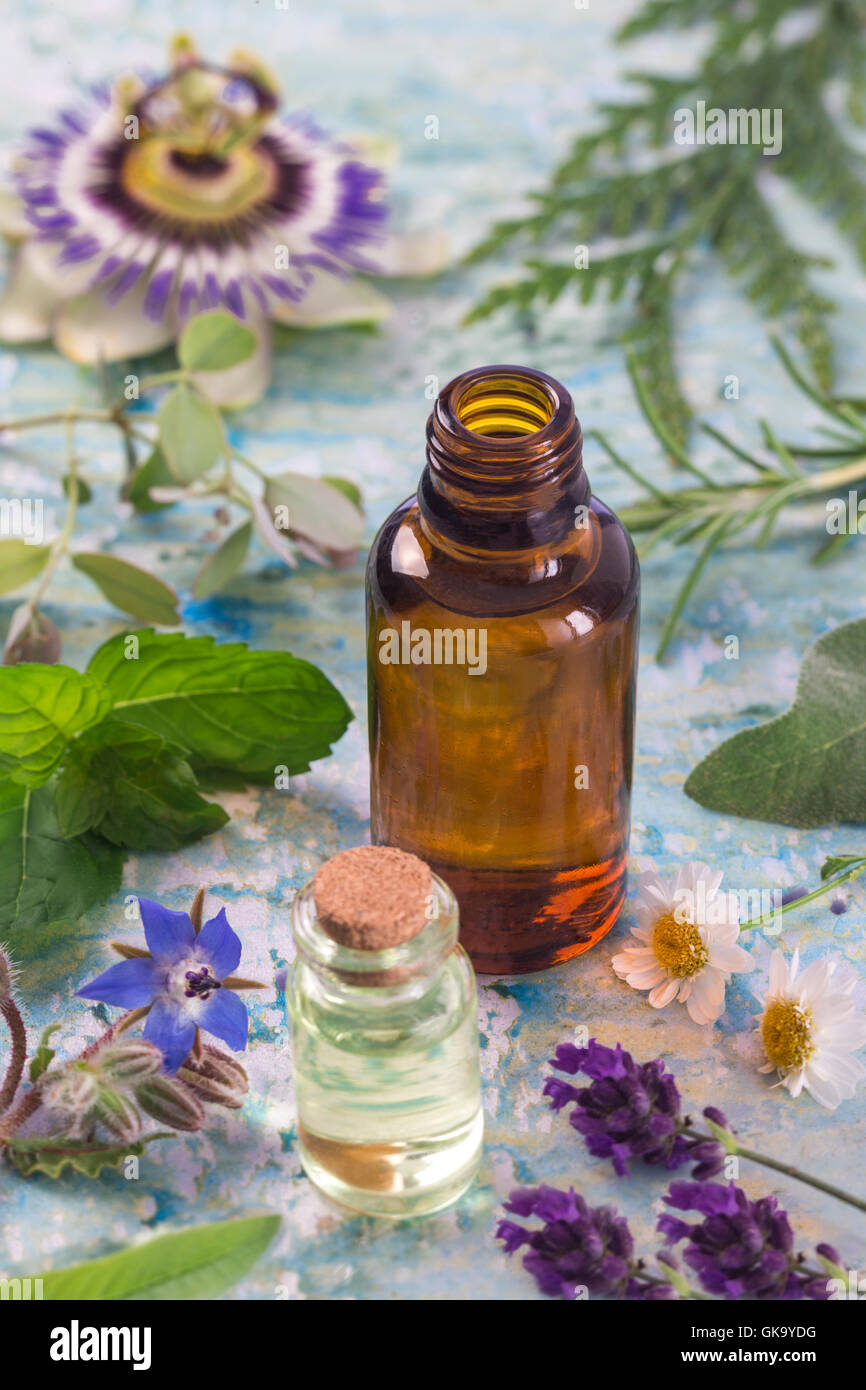 Piante medicinali e selezione dei fiori , menta piperita, passiflora,, salvia, timo, lavanda melissa con un aromaterapia olio essenziale di bottiglia di vetro . Foto Stock
