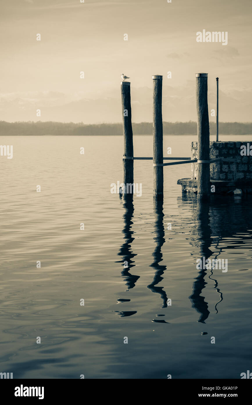Tre dock palificazioni in un lago calmo con riflessi nell'acqua, un gabbiano, scena romantica, b&w la conversione. Foto Stock