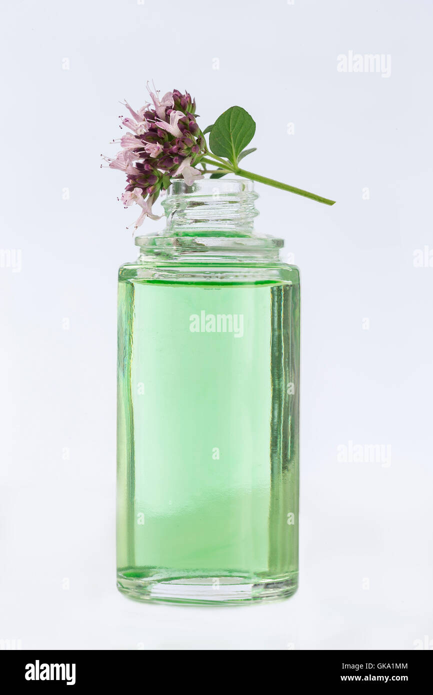Olio essenziale di origano Foto Stock