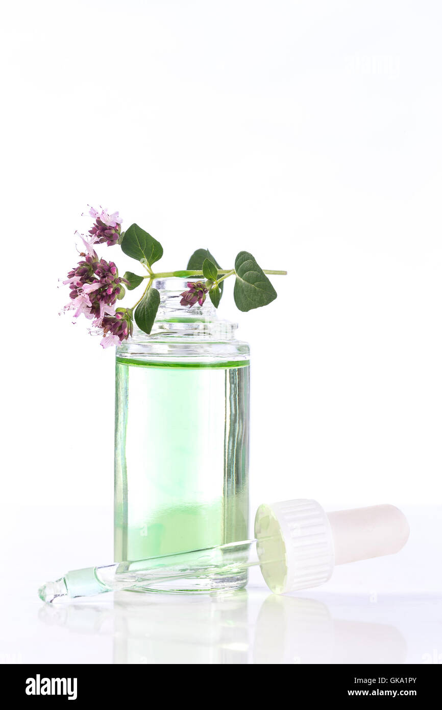 Olio essenziale di origano Foto Stock