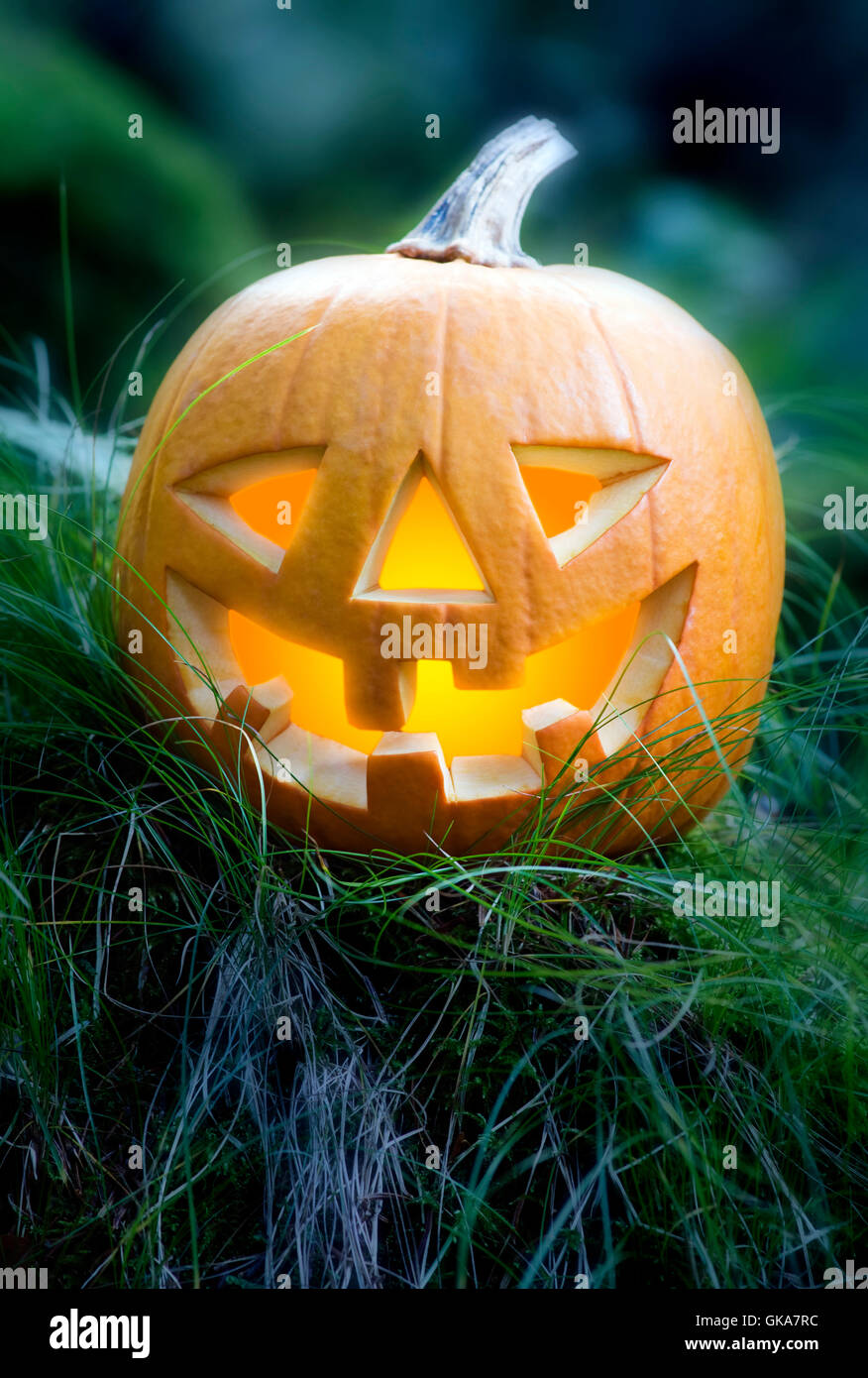 Halloween Dark forest Foto Stock