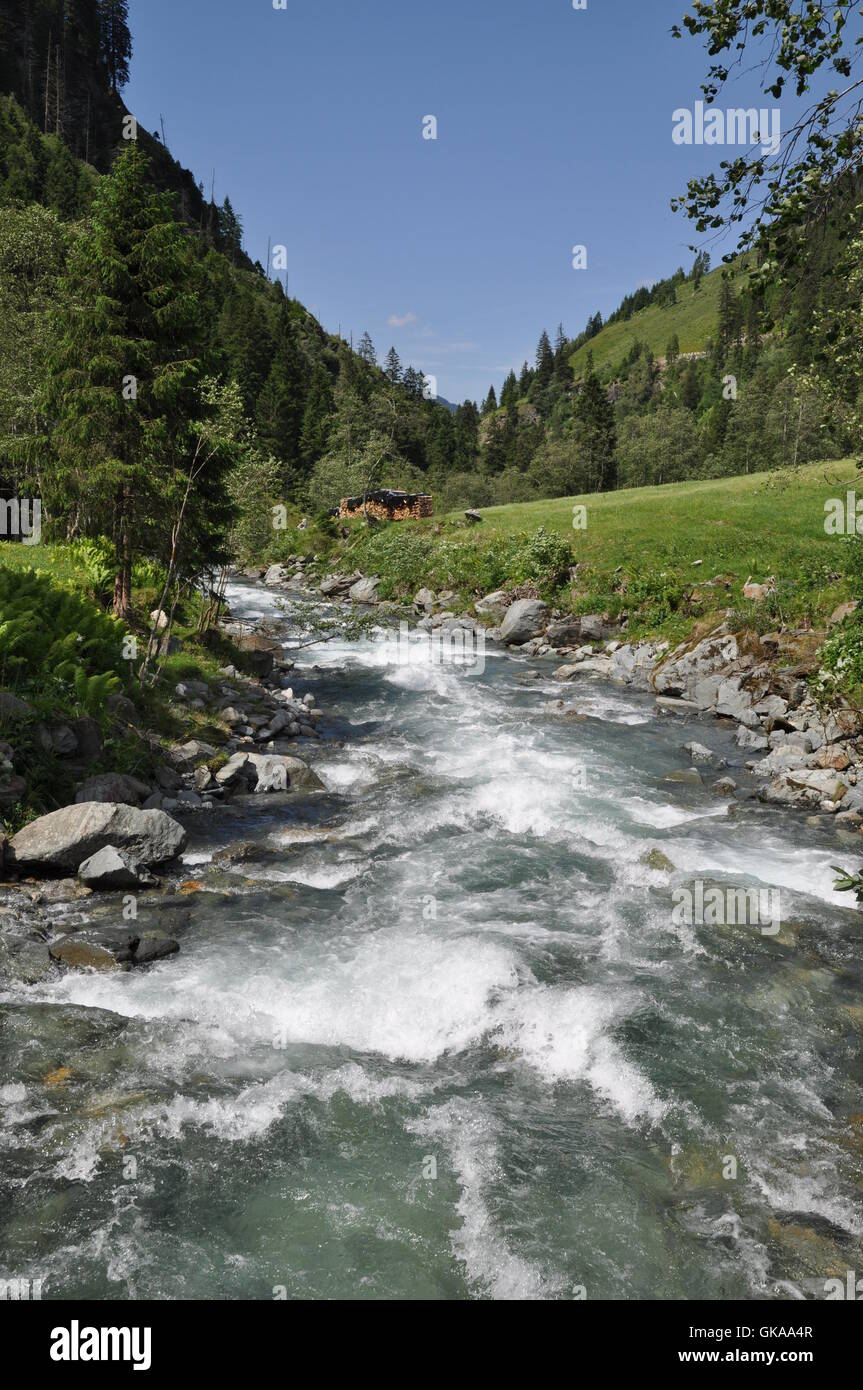 Ruscello di montagna Foto Stock