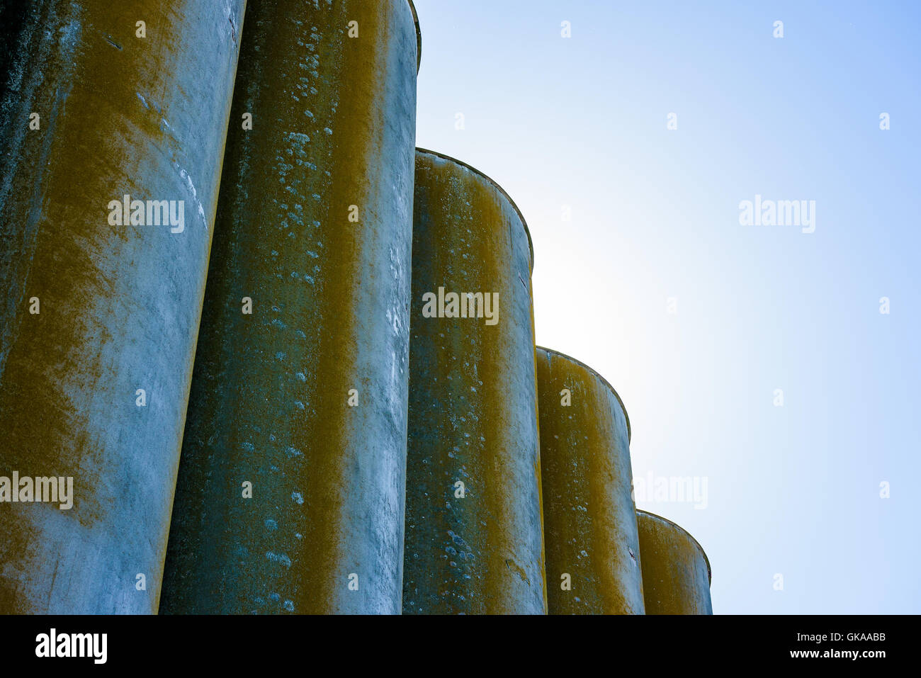 Retroilluminato cemento cilindrico silo di grano con il sole appena dietro il silo tops. Foto Stock