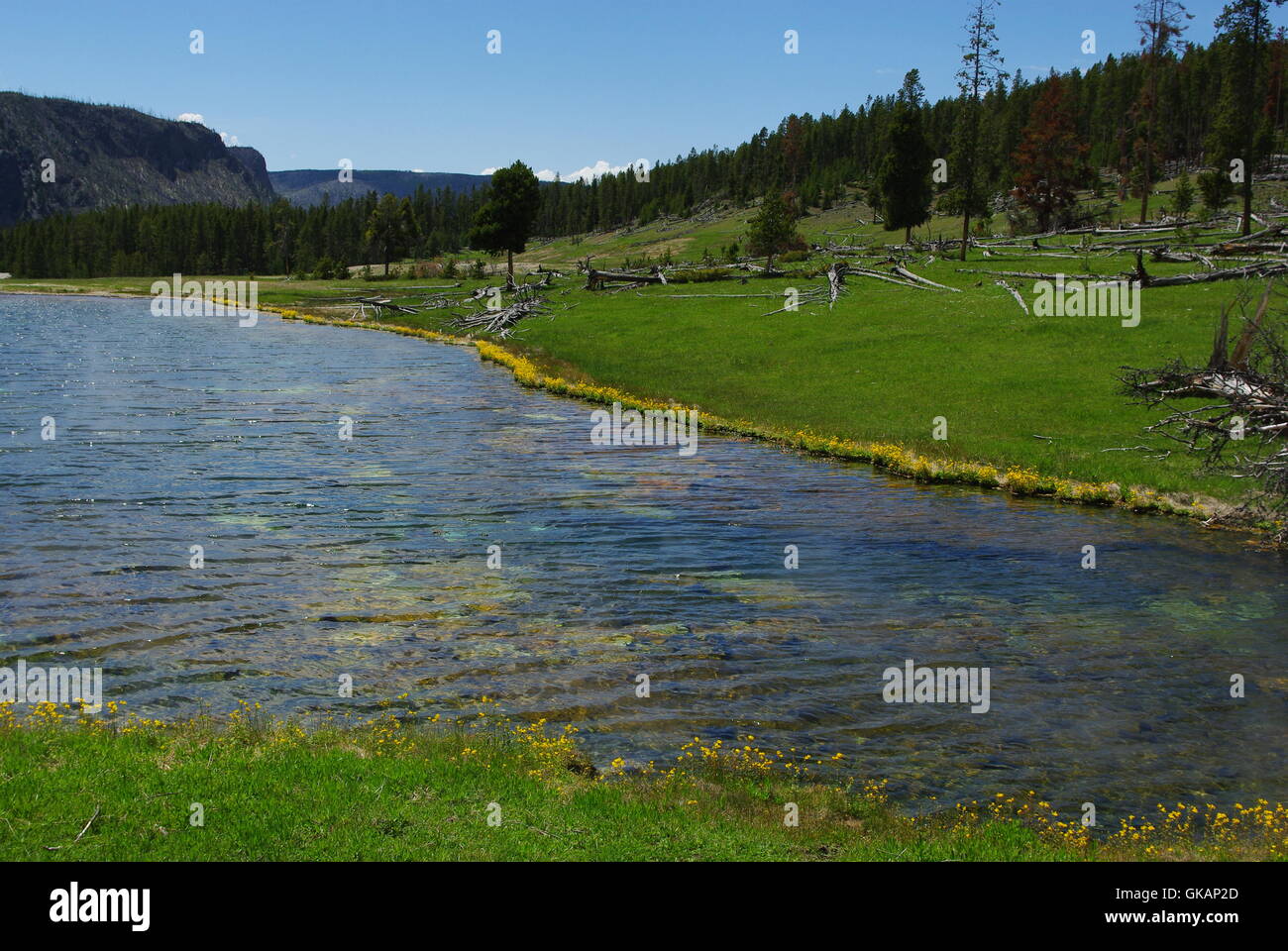 Lago nel parco nazionale di Yellowstone,wyoming Foto Stock