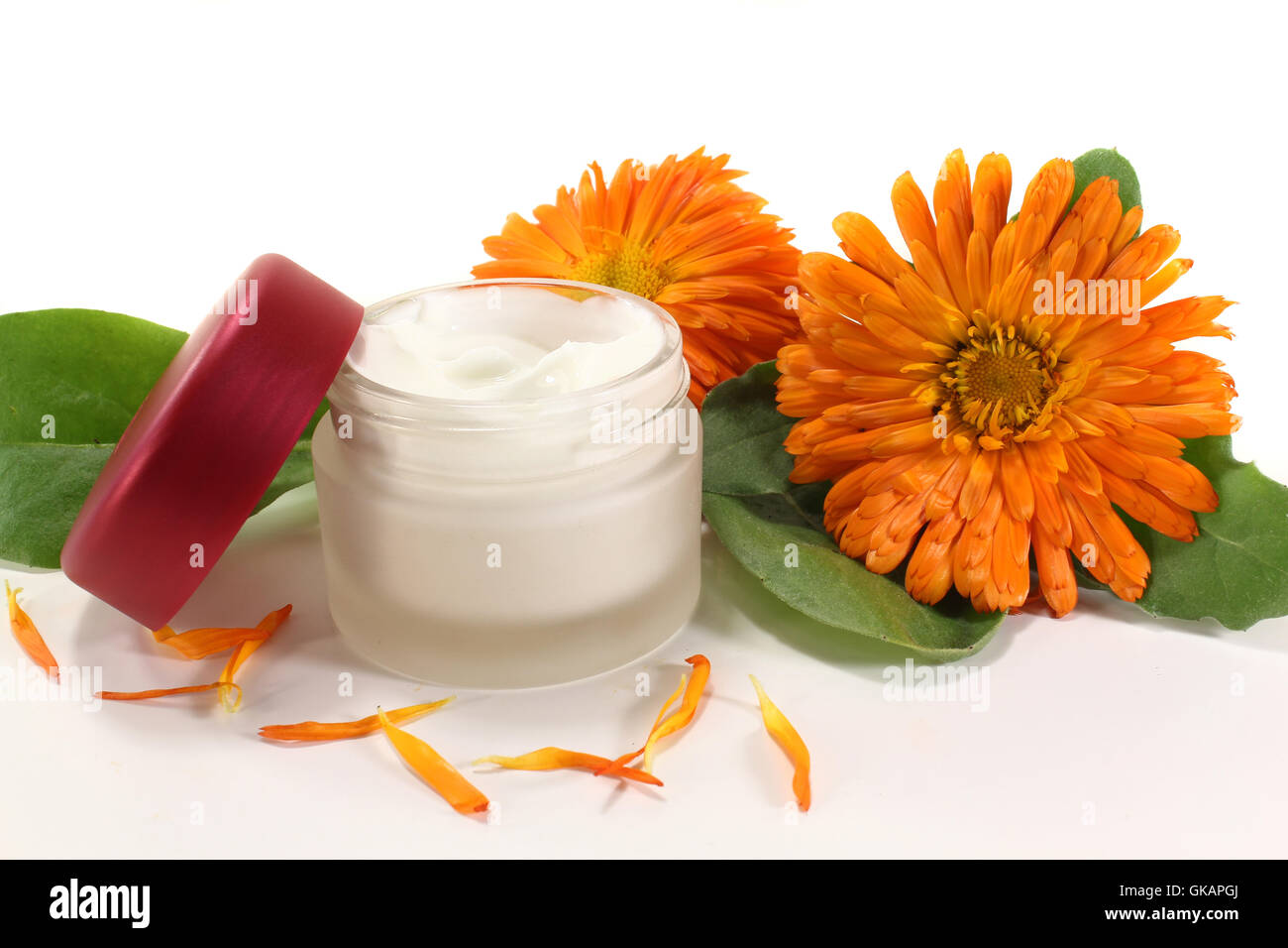 Ringelblumensalbe Foto Stock