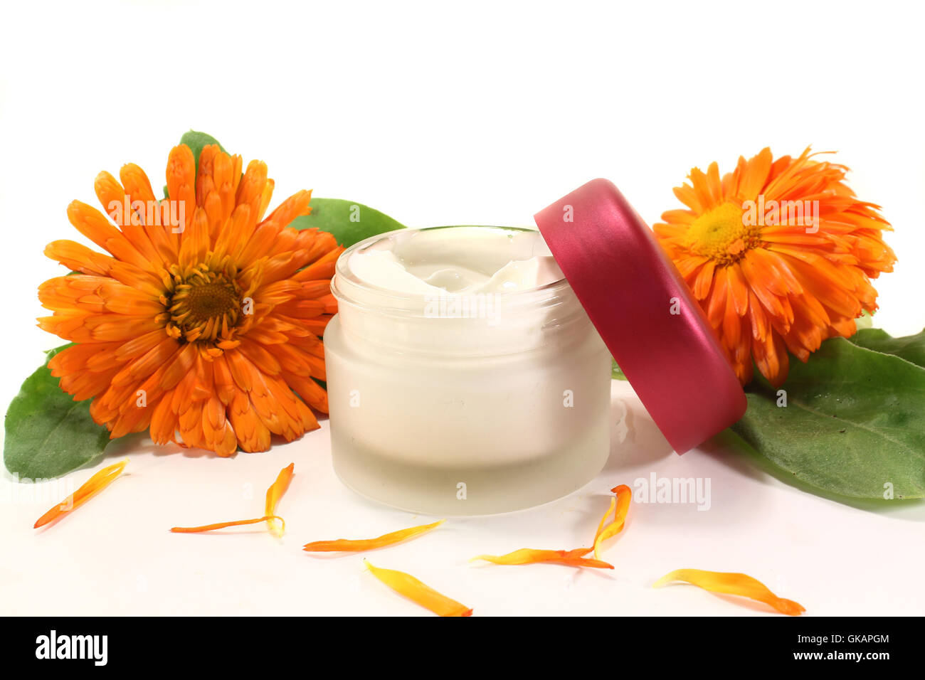 Ringelblumensalbe Foto Stock