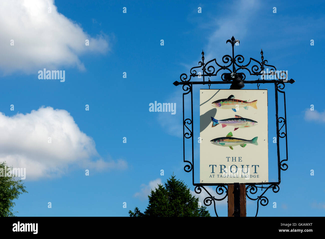 La trota pub segno, Tadpole Bridge, Oxfordshire, England, Regno Unito Foto Stock