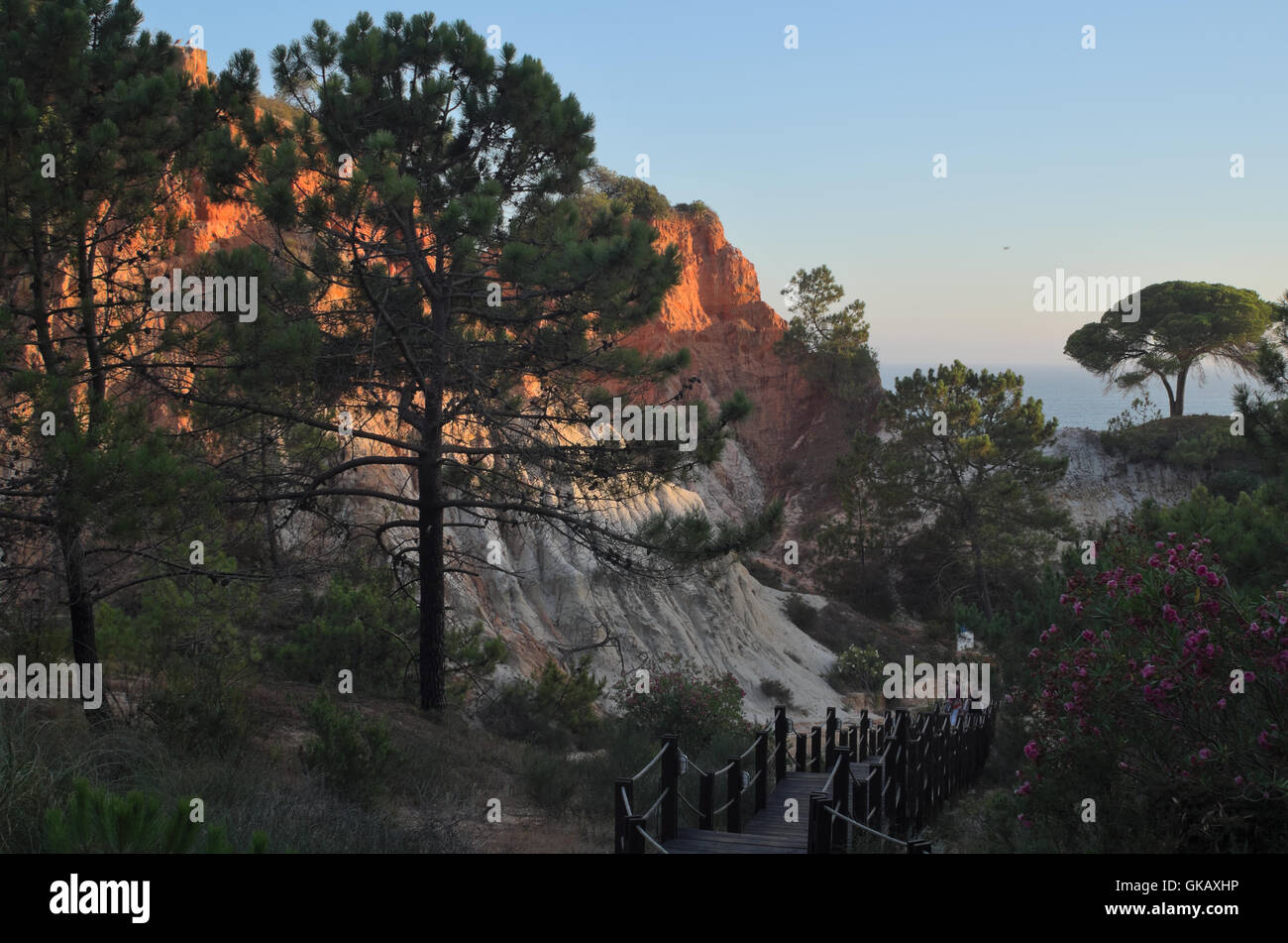 Pine Cliffs Sheraton - The Luxury Collection Hotel in Albufeira Algarve Foto Stock