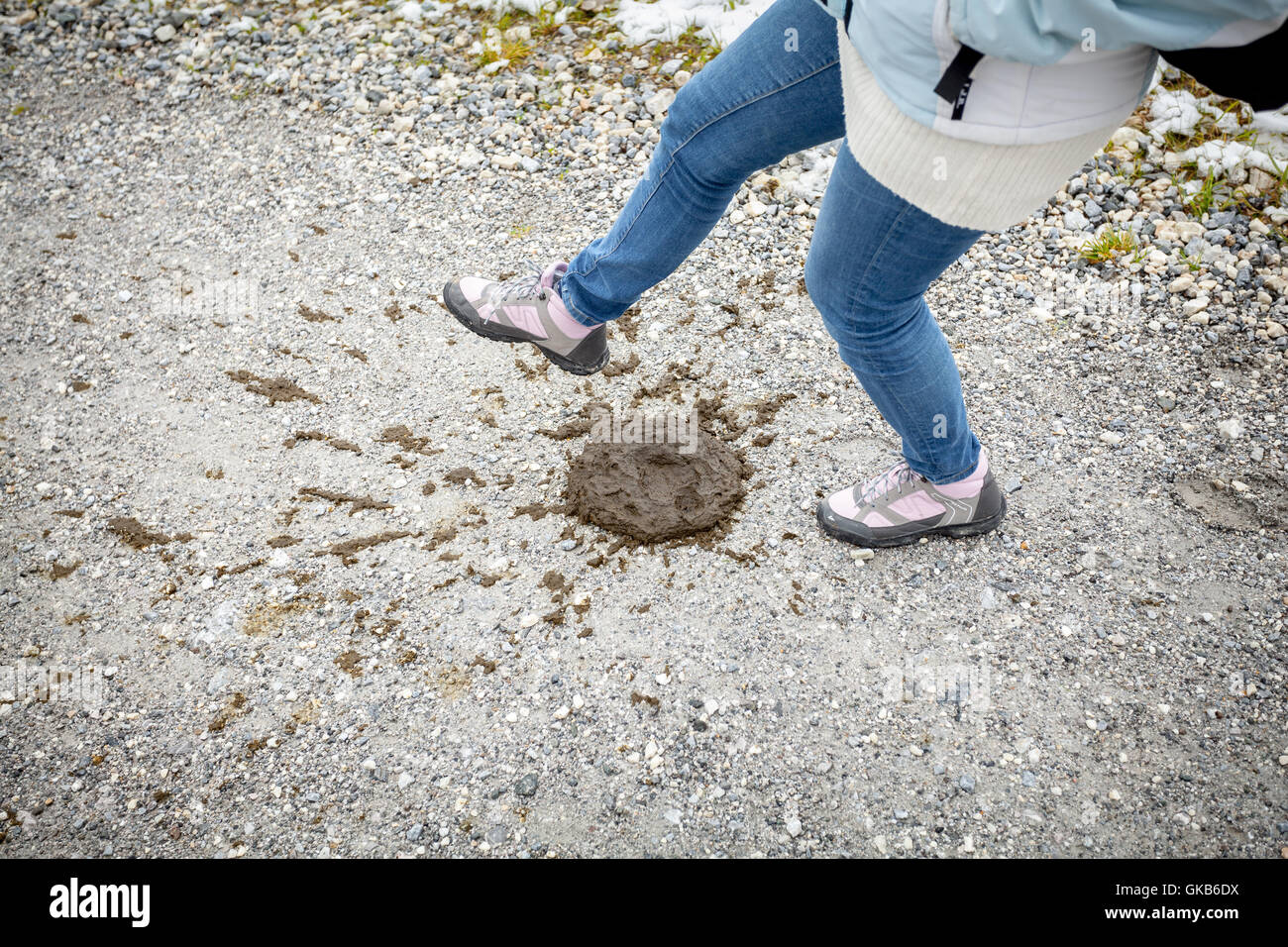 Donna stepping in concime di vacca Foto Stock