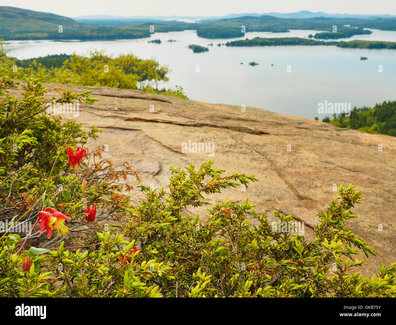 Vertice, briglia vecchio sentiero percorso, West Rattlesnake montagne, Squam Lake, Holderness, Hew Hampshire, STATI UNITI D'AMERICA Foto Stock