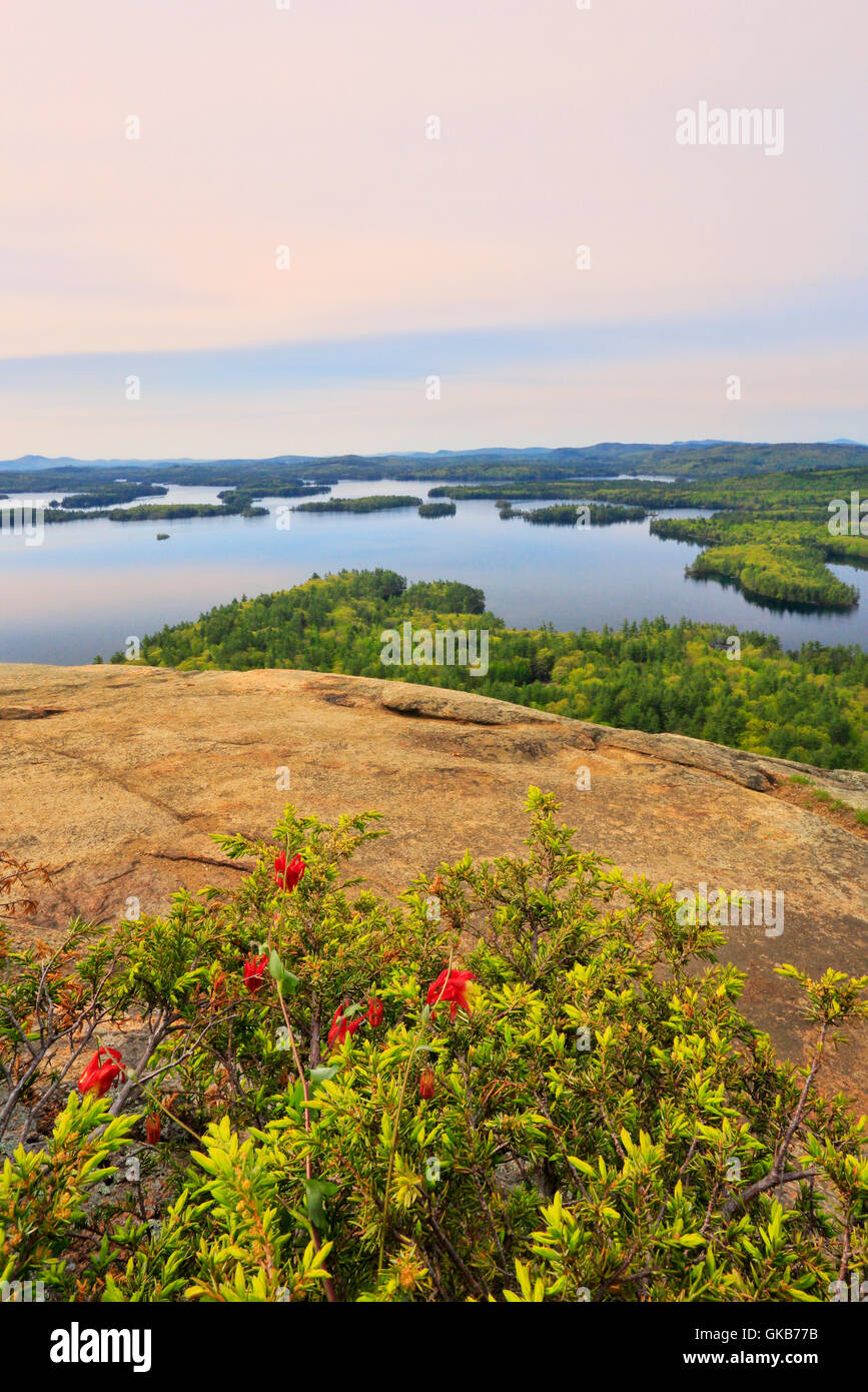 Vertice, briglia vecchio sentiero percorso, West Rattlesnake montagne, Squam Lake, Holderness, Hew Hampshire, STATI UNITI D'AMERICA Foto Stock