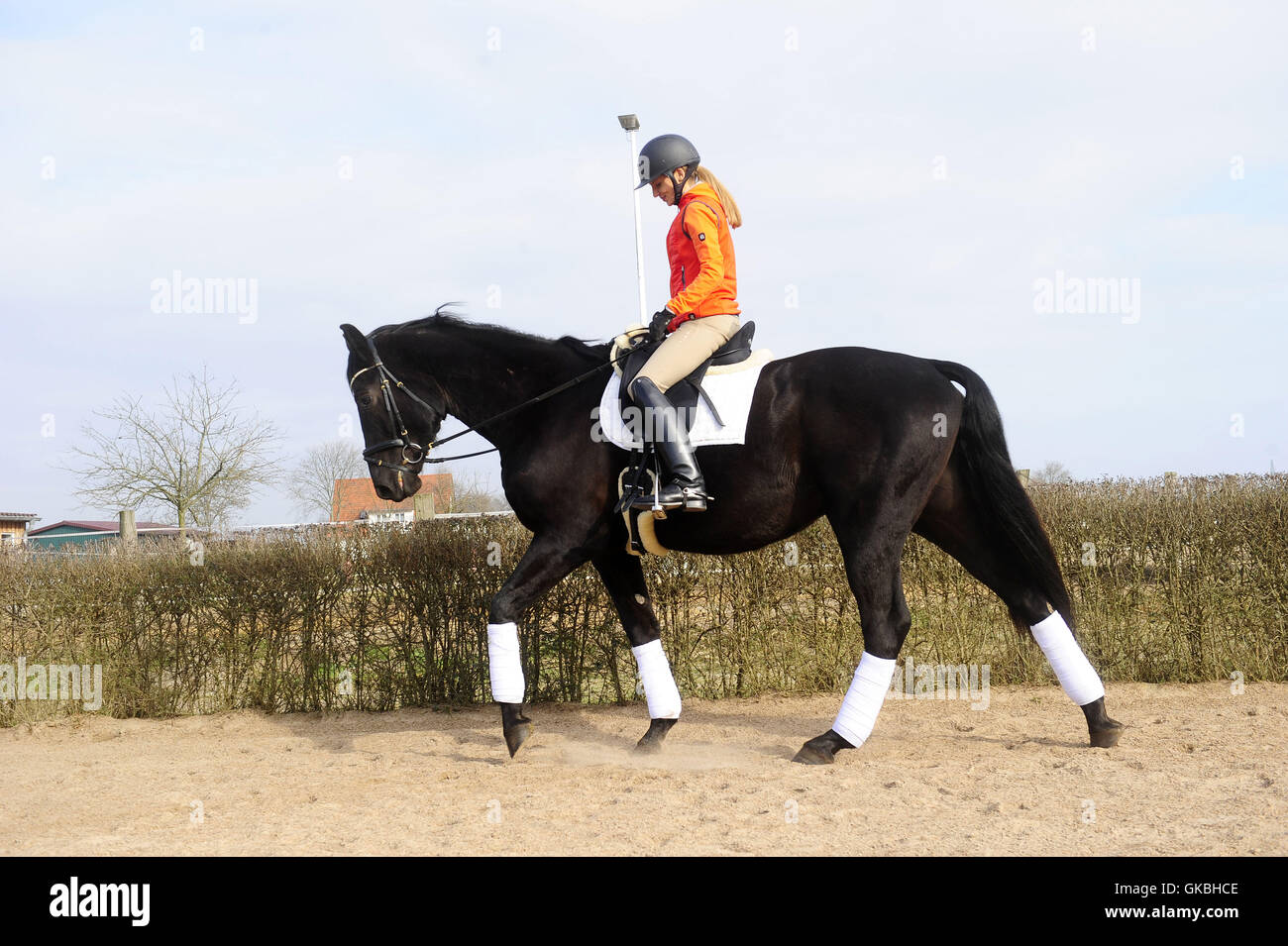 Attori tedeschi Nora Huetz e Tobias Licht presso la fattoria equestre Lichtblau. Come un ex professionale dressage rider, Huetz spende un sacco di tempo con il suo partner Licht per occuparsi del suo cavallo Monte. Dotato di: Nora Huetz dove: Ludwigsfelde, Germania Quando: 1 Foto Stock