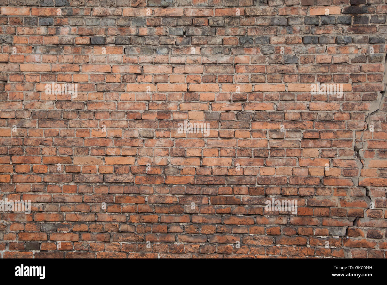 La texture muro in mattoni Foto Stock
