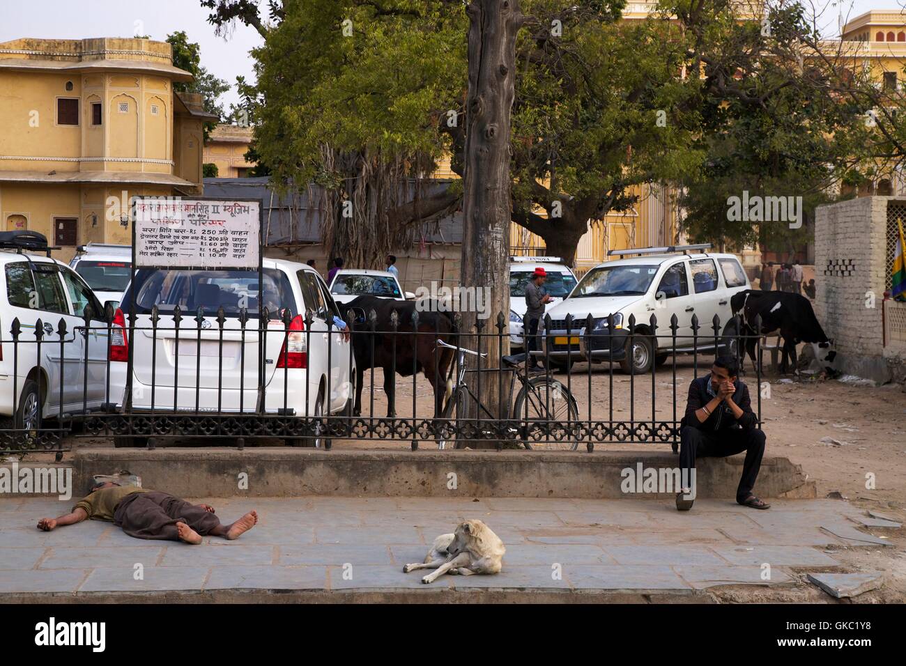 Scena di strada con sleeping uomo e cane, Jaipur, Rajasthan, India, Asia Foto Stock