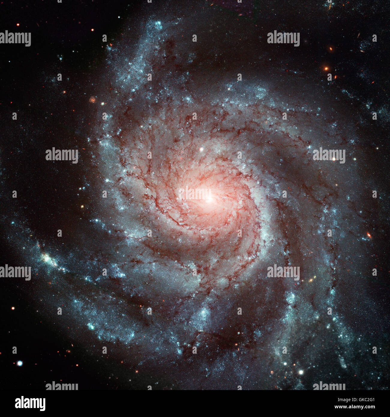 La Girandola Galaxy, noto anche come Messier 101, M101 o NGC 5457, è una faccia sulla galassia a spirale nella costellazione dell'Orsa Maggiore. Ri Foto Stock