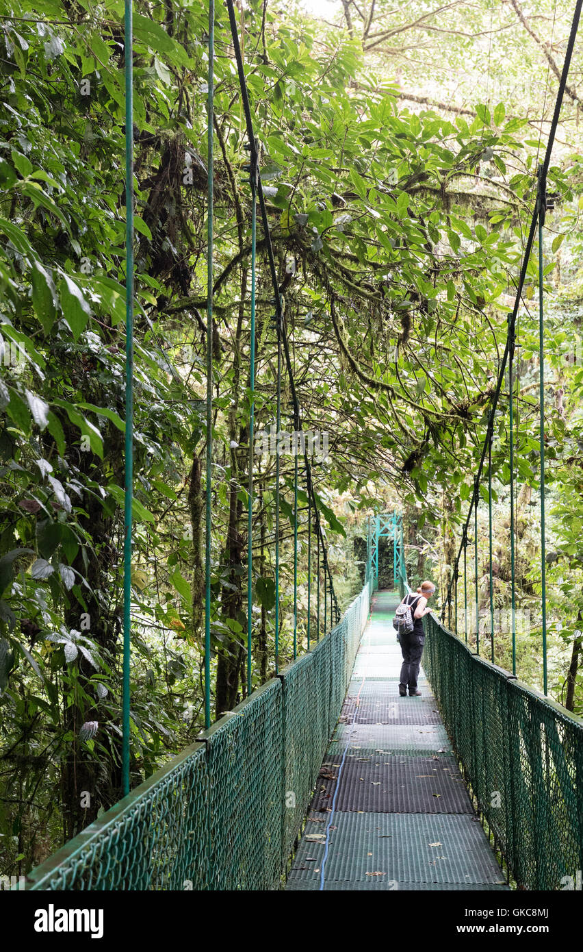 Un turista guardando in giù da una tettoia bridge, Monteverde Cloud Forest, Costa Rica, America Centrale Foto Stock