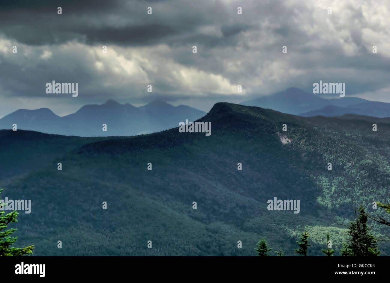 Montagna alberi di mattina Foto Stock